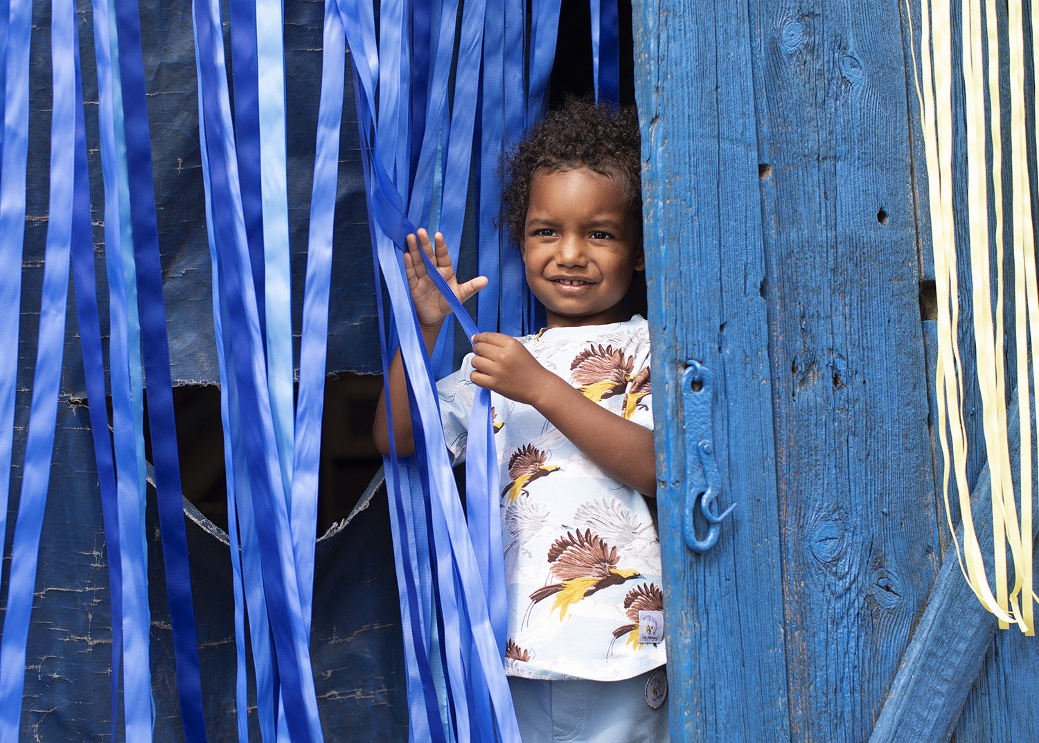 T-shirt Greater Bird