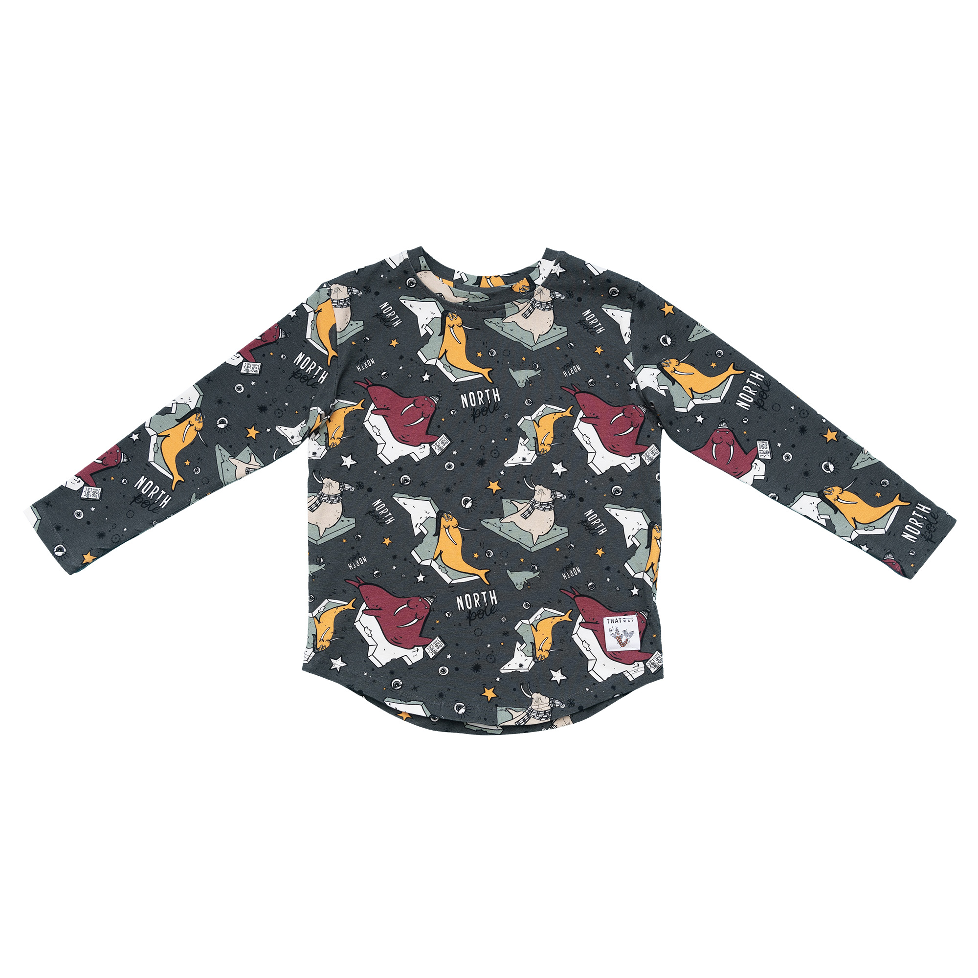 Longsleeve Sea Lions Graphit