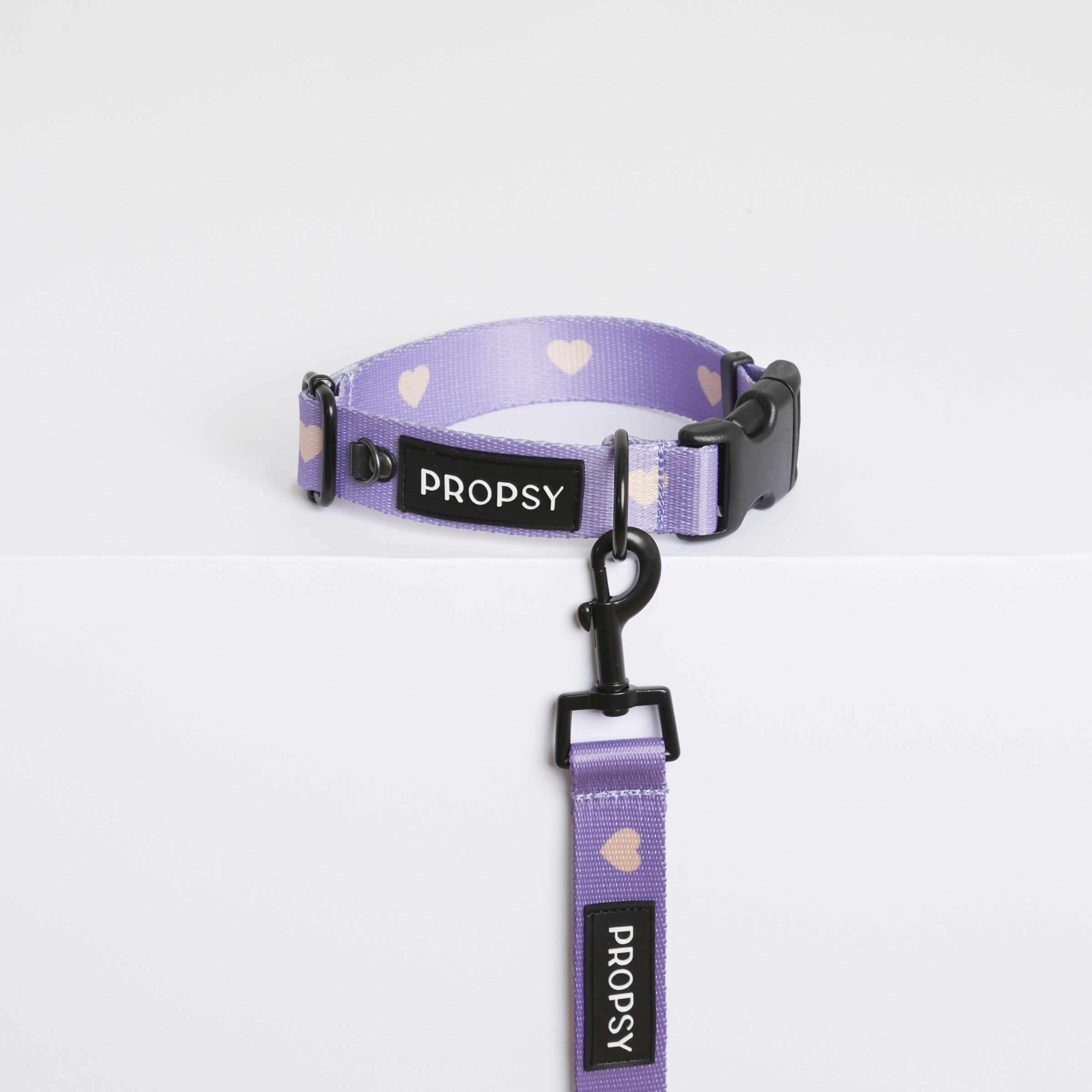 Collar with Buckle - Iconic Love