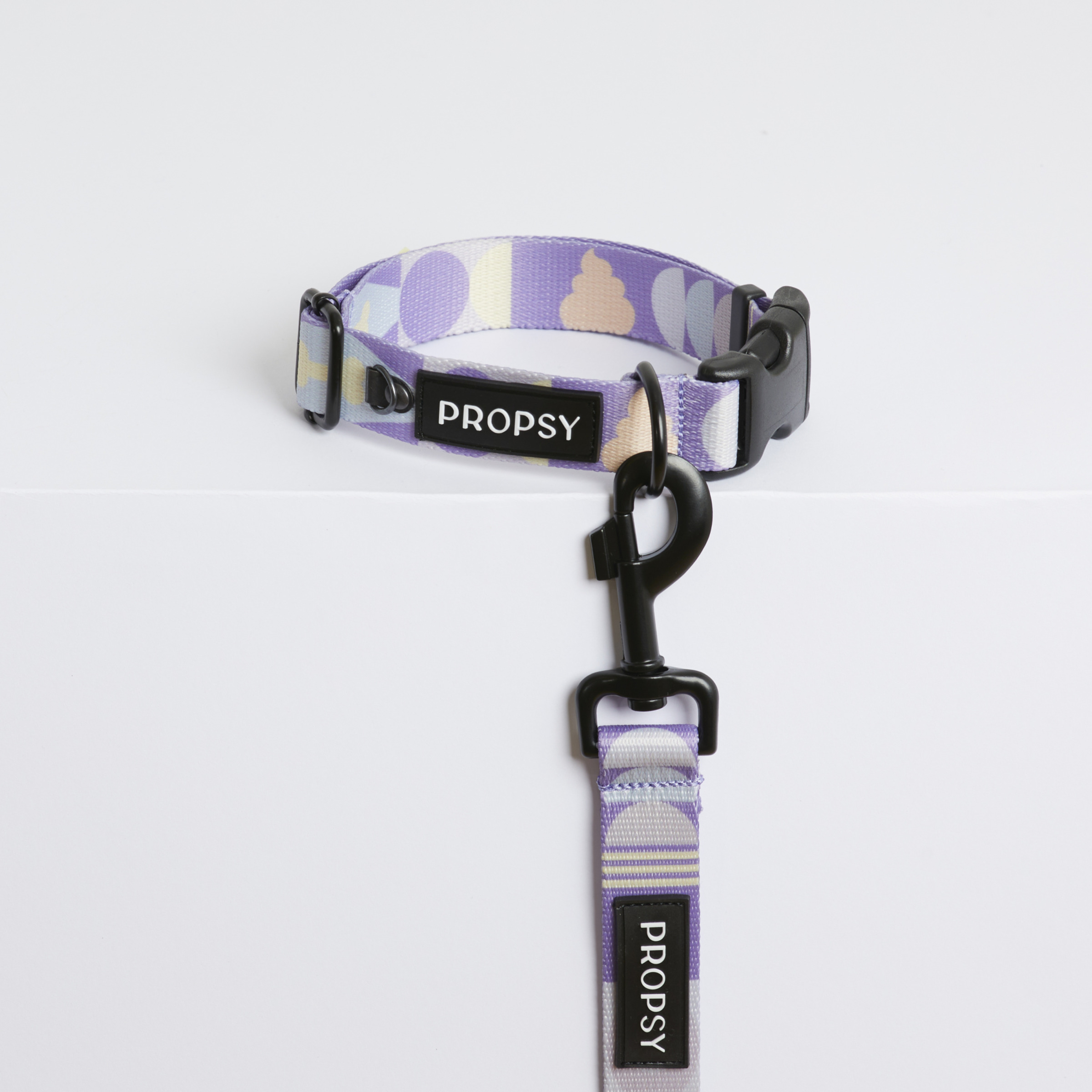 Collar with Buckle - Iconic Violet