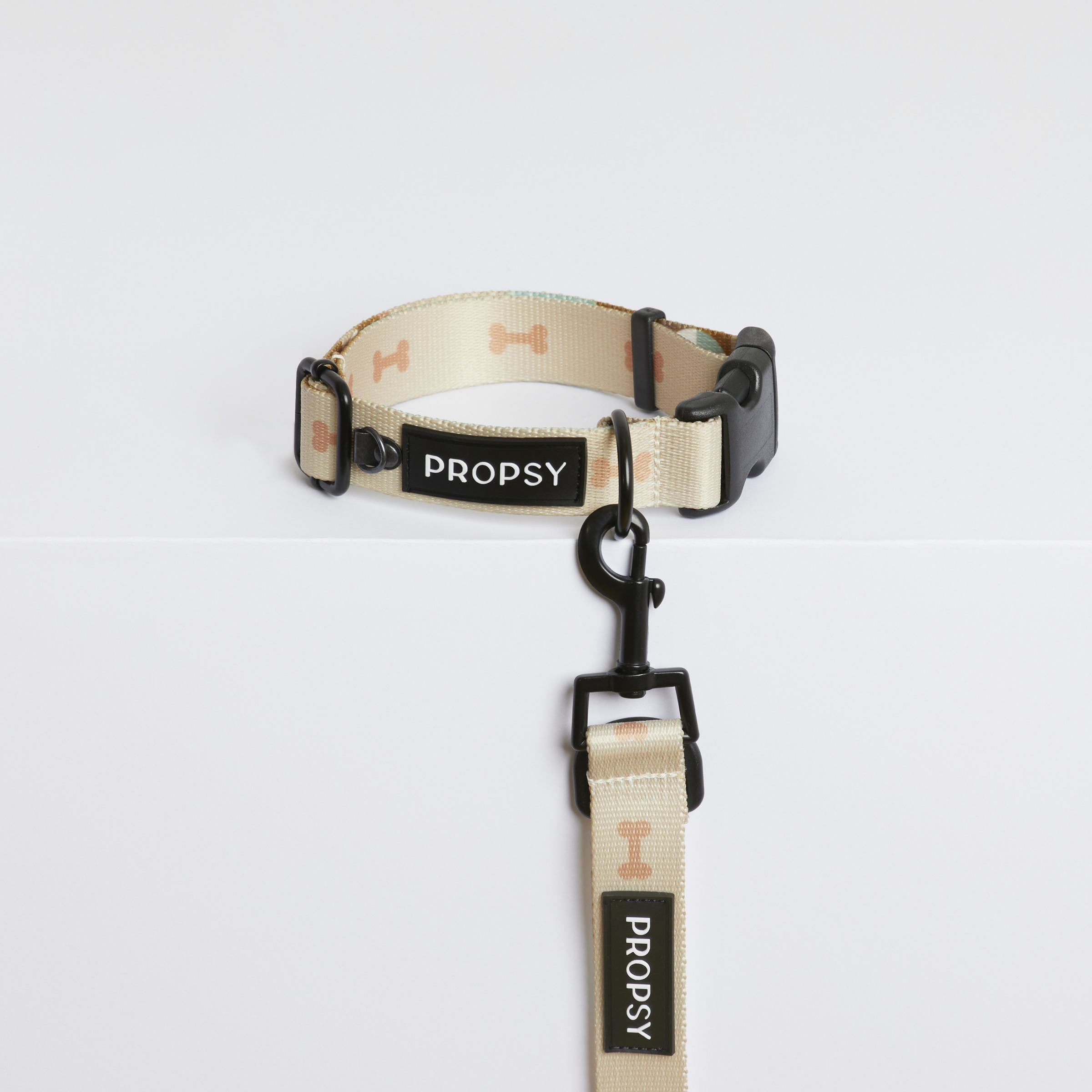Collar with Buckle - Iconic Bone