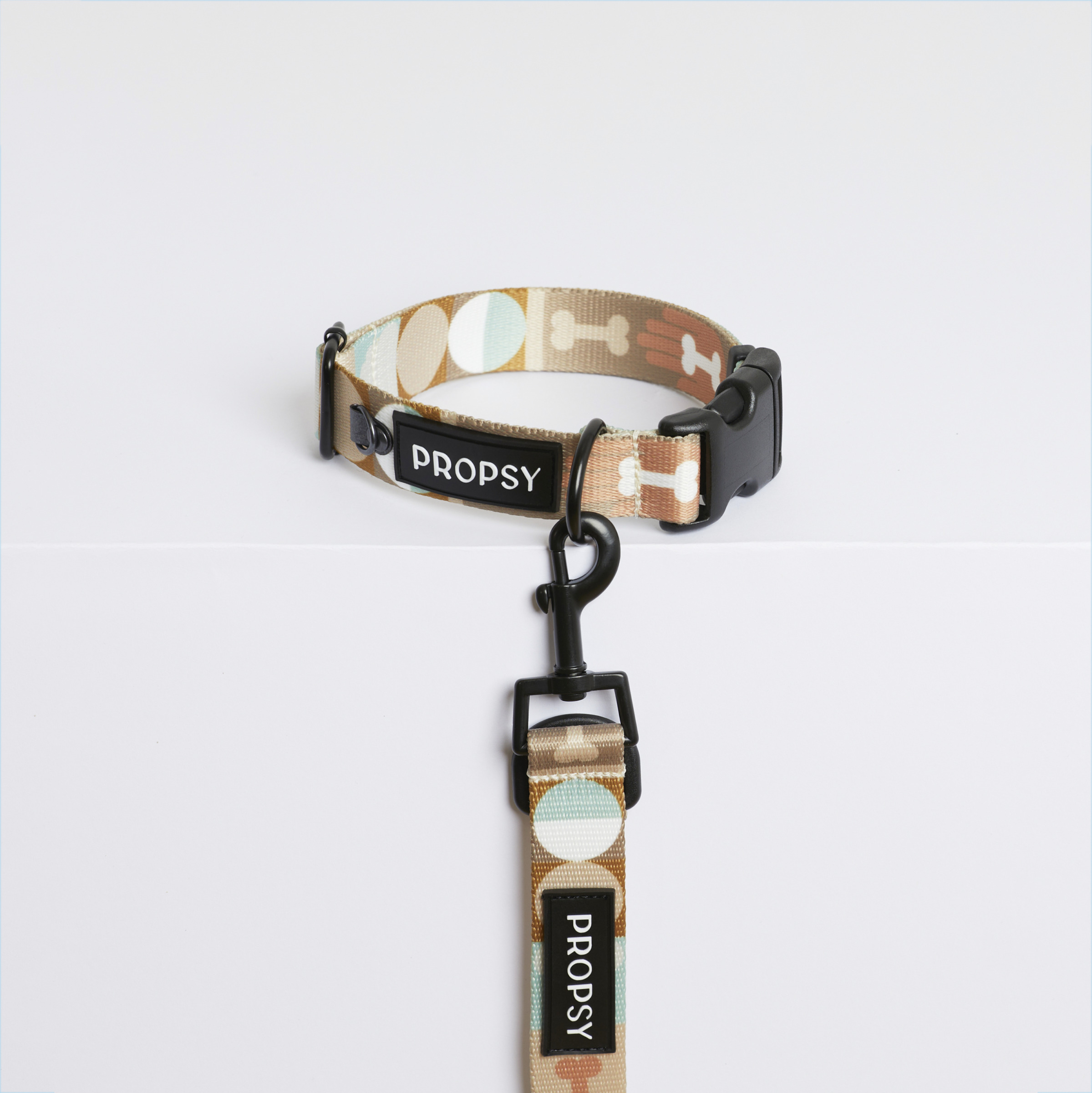 Collar with Buckle - Iconic Earth