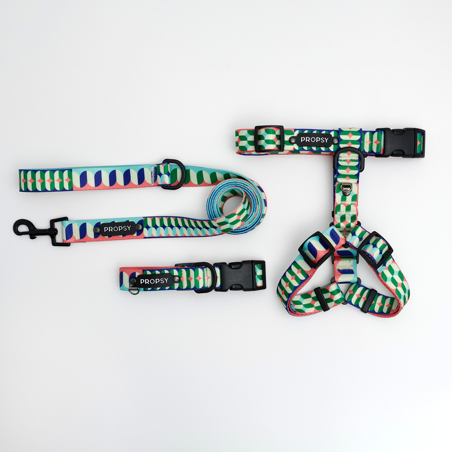 Collar with Buckle - It's kind of bougie