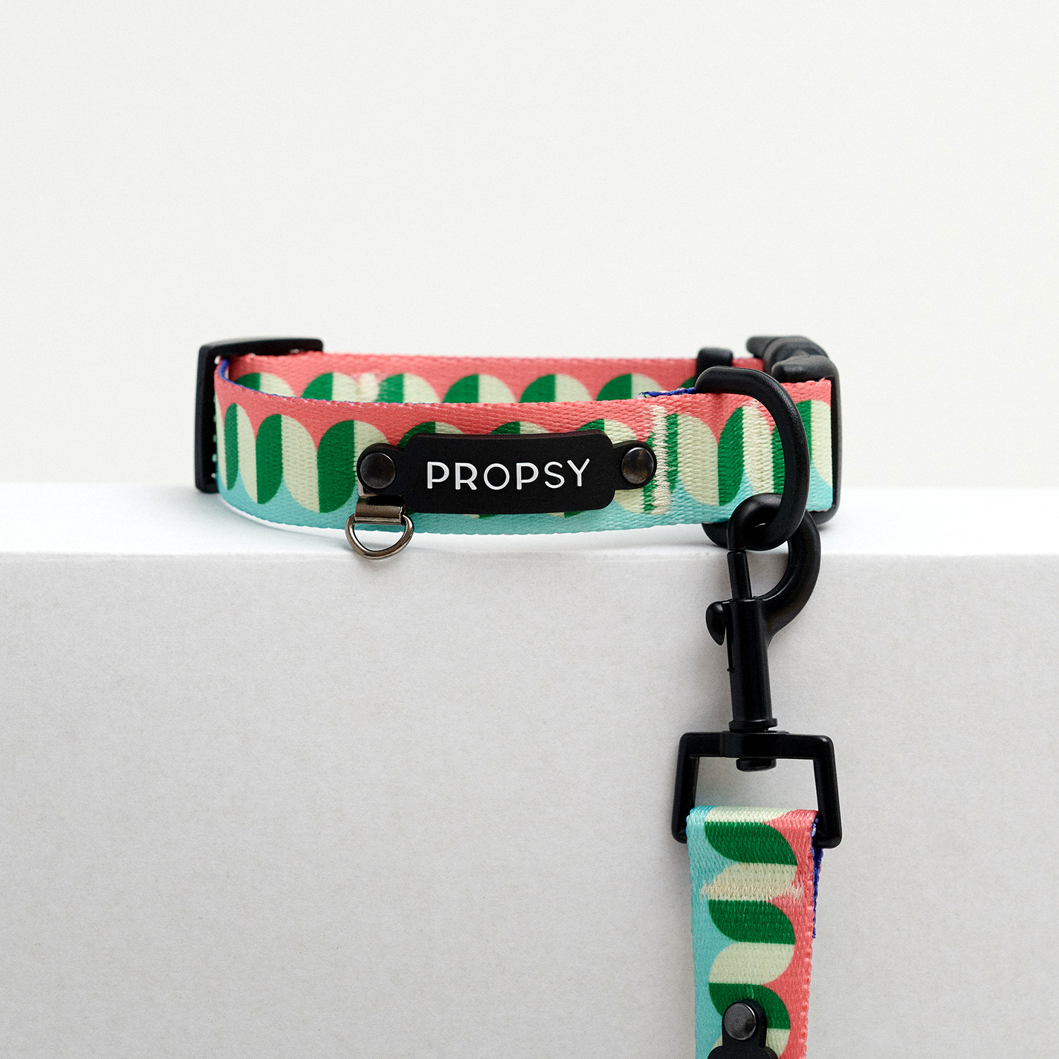 Collar with Buckle - Modern Walking