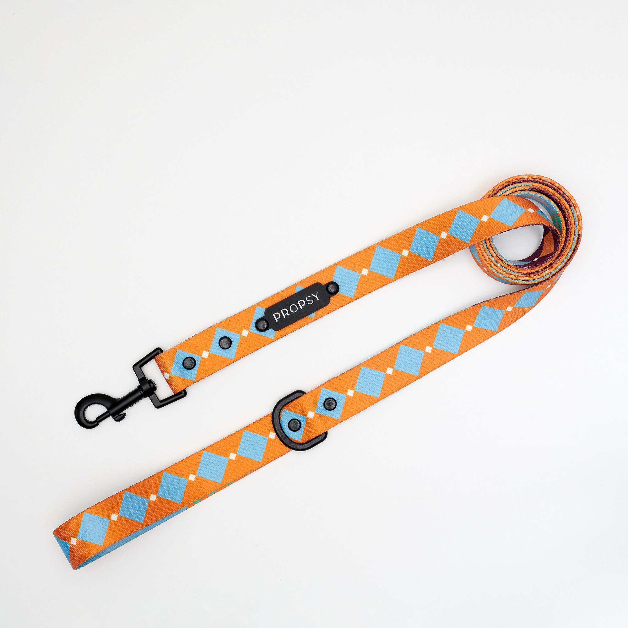 Urban leash - Retro Pooch
