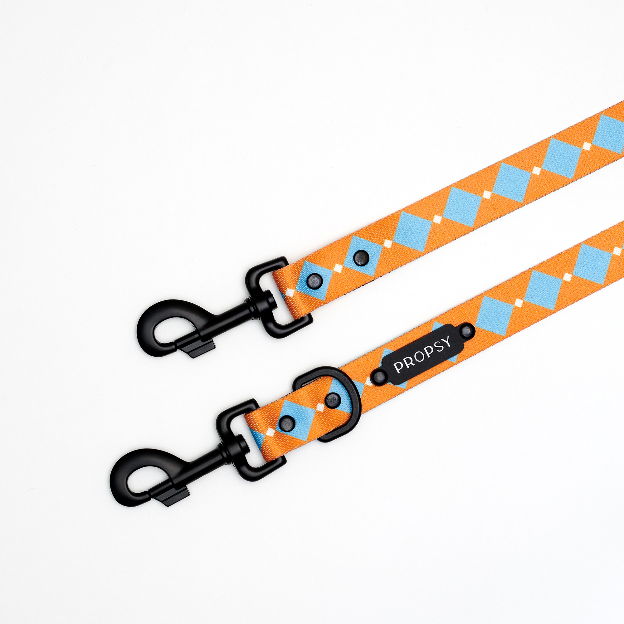 Adjustable leash - Retro Pooch