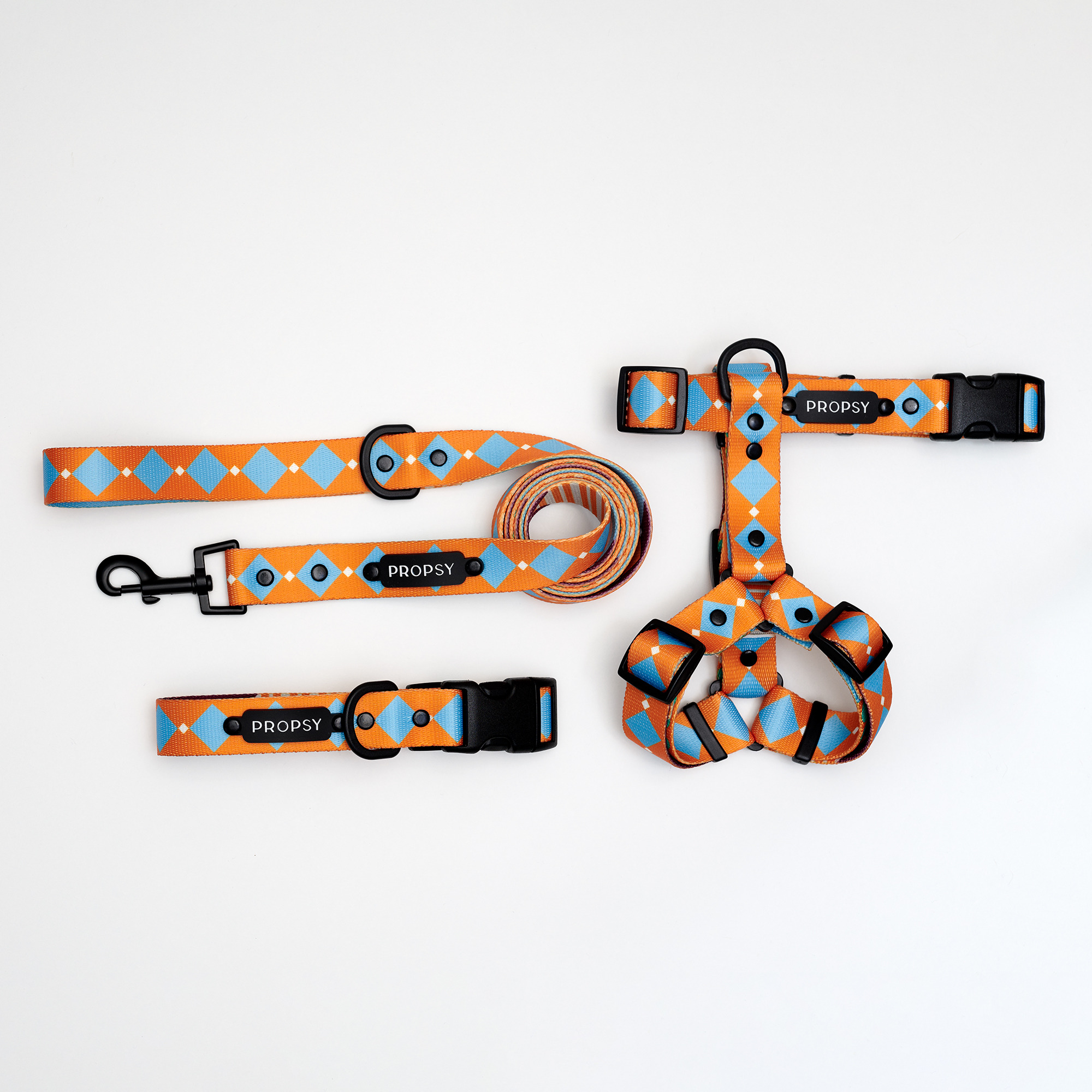 Collar with Buckle - Retro Pooch