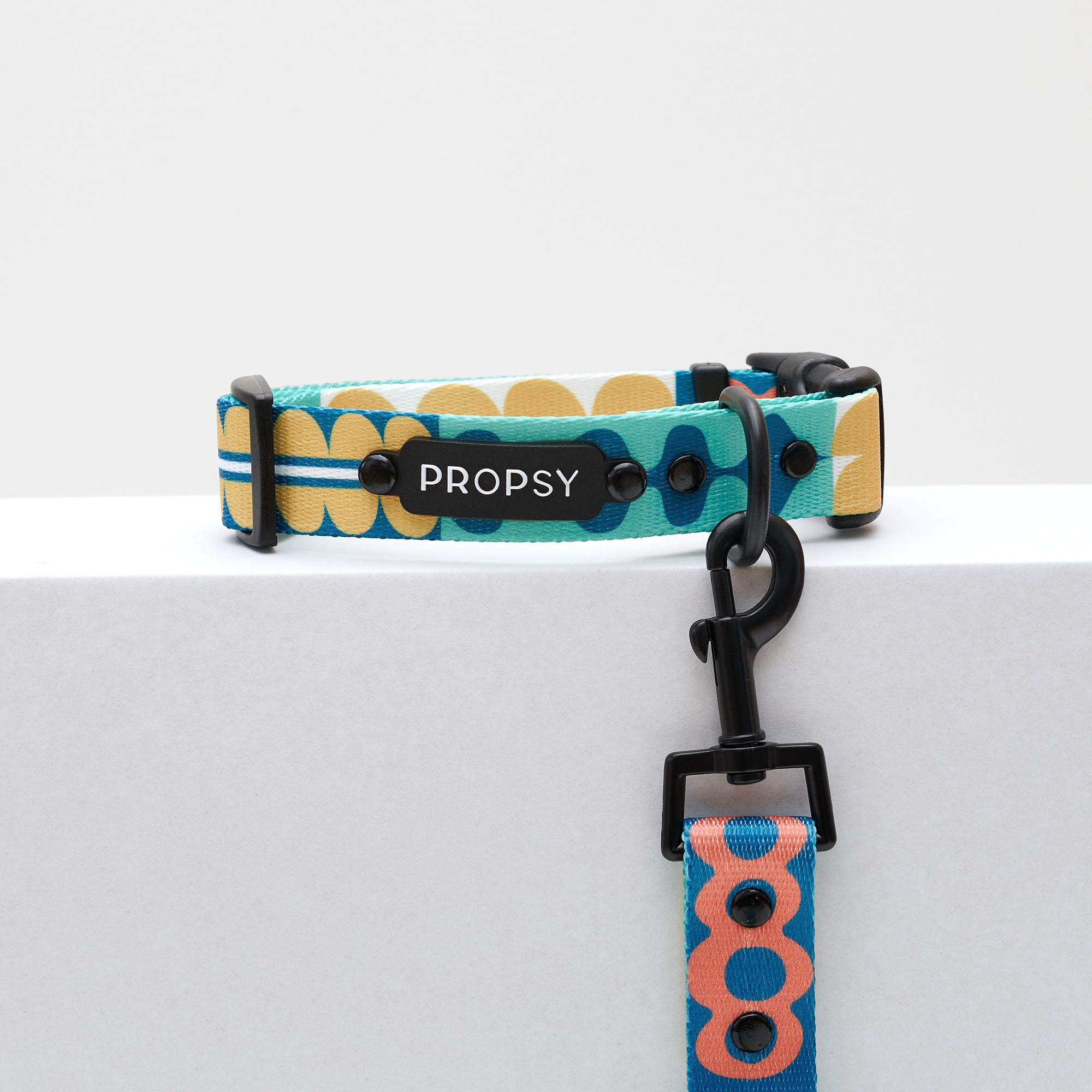 Collar with Buckle - Dooggie Woogie