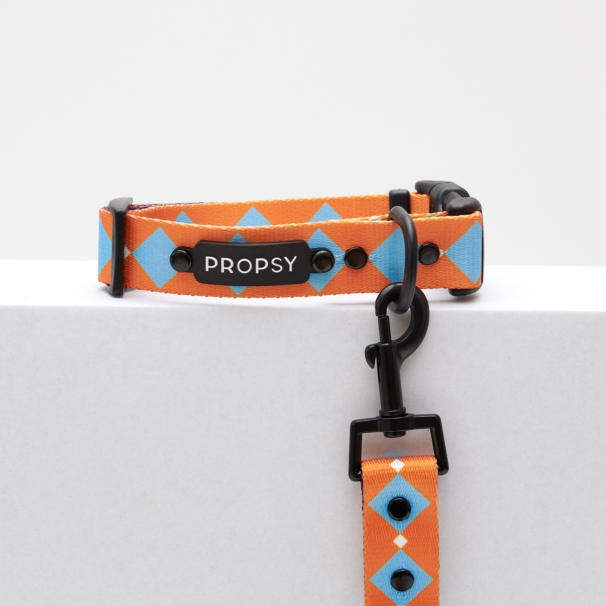 Collar with Buckle - Retro Pooch