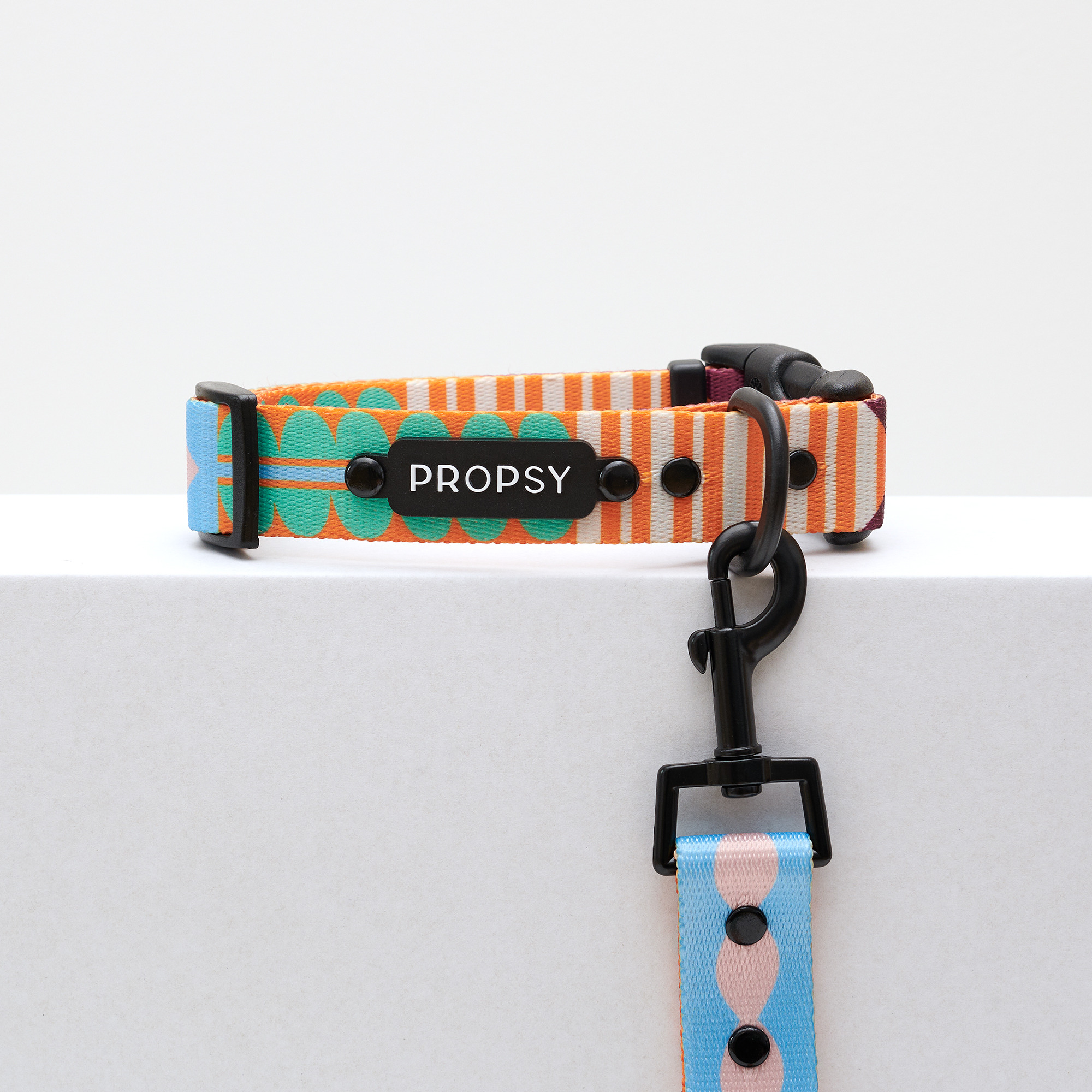 Collar with Buckle - Let's Get Funky