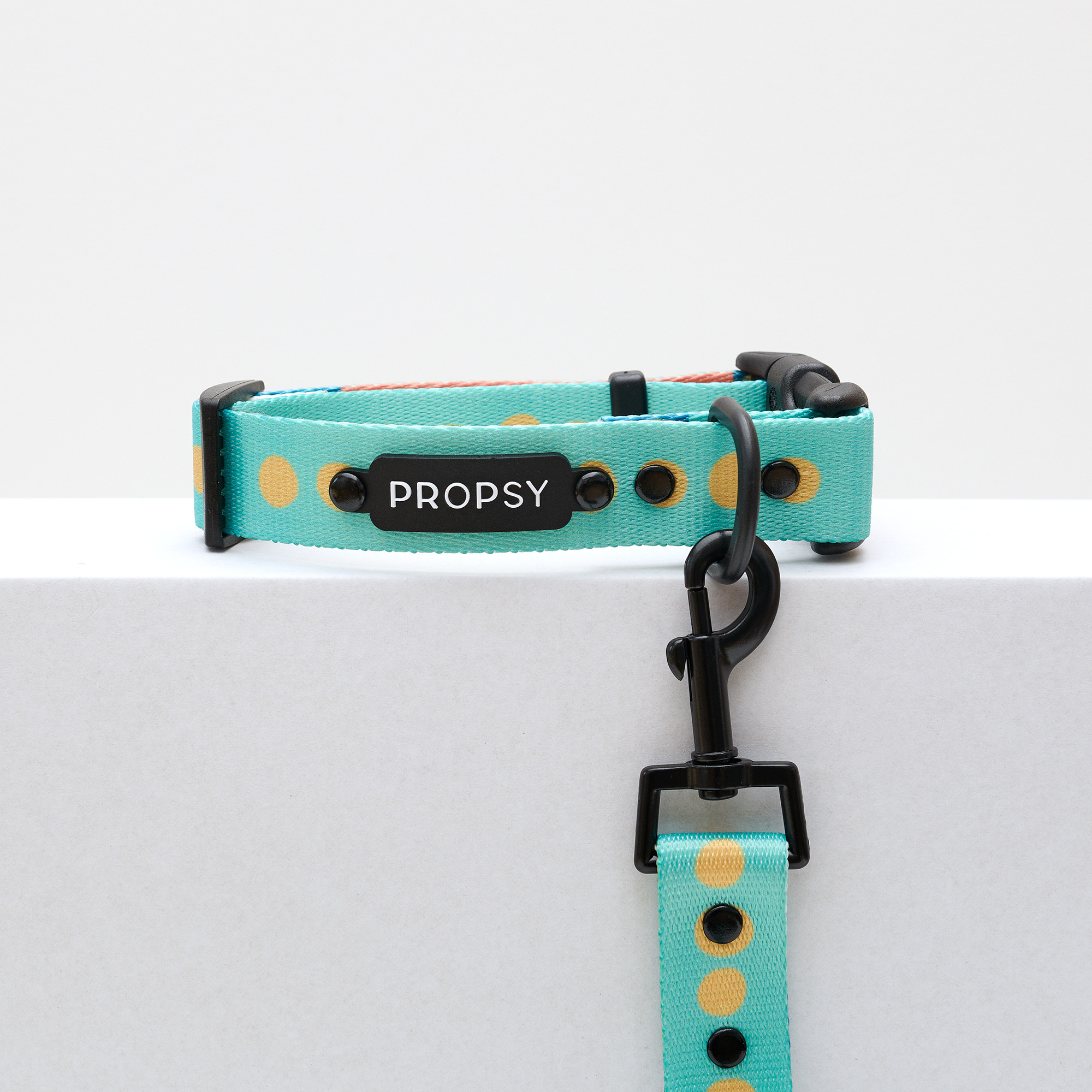 Collar with Buckle - Basic Bloop
